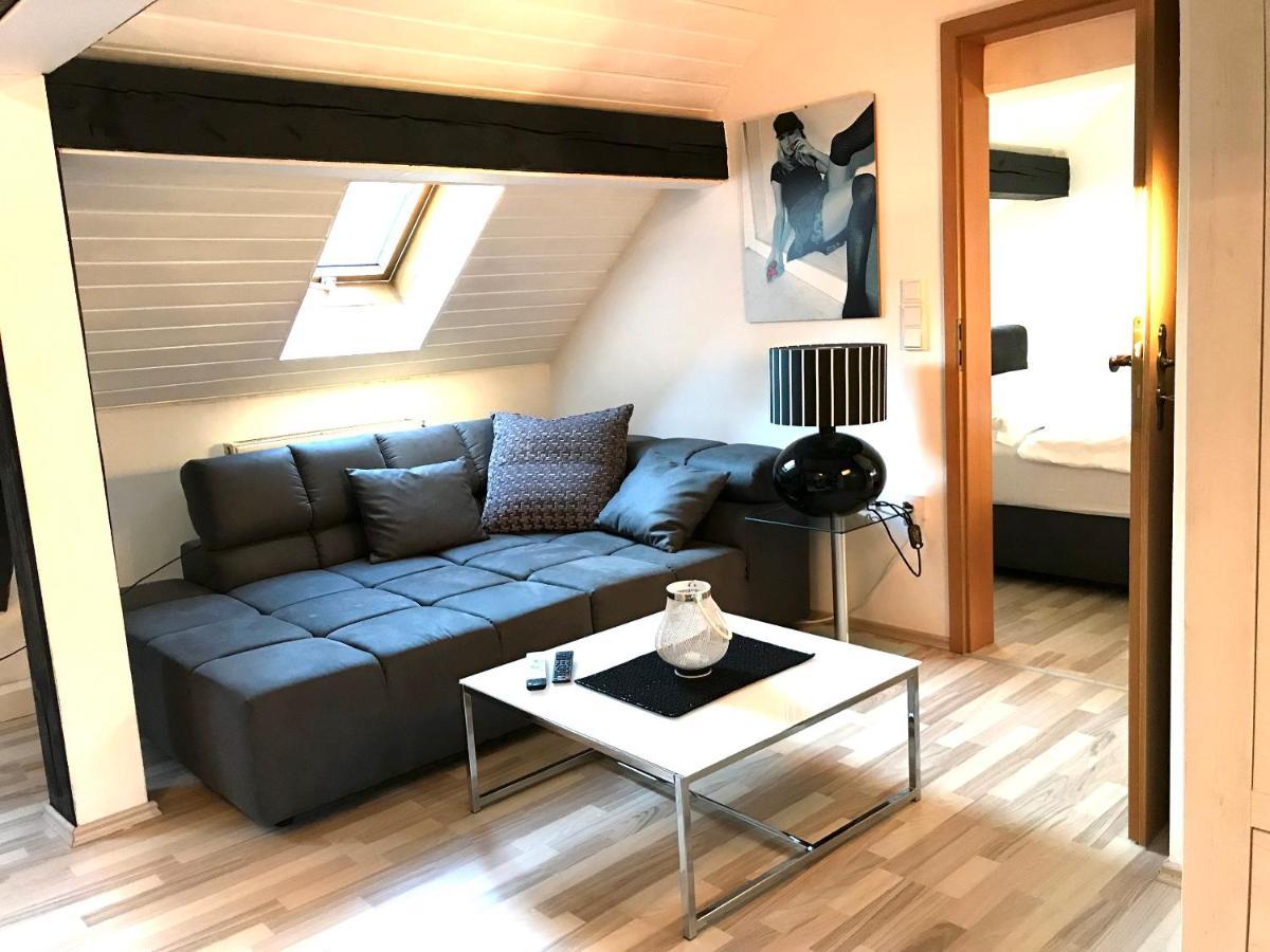 Apartment Direkt An Der Waldnaab Neustadt an der Waldnaab Zewnętrze zdjęcie