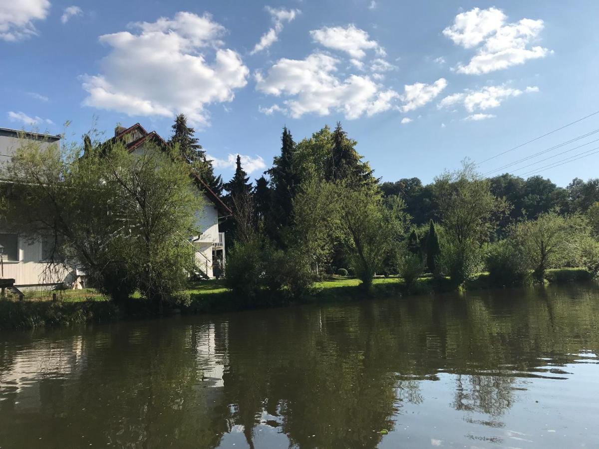 Apartment Direkt An Der Waldnaab Neustadt an der Waldnaab Zewnętrze zdjęcie