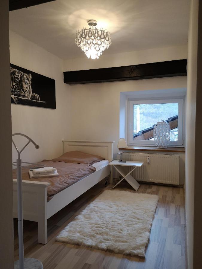 Apartment Direkt An Der Waldnaab Neustadt an der Waldnaab Zewnętrze zdjęcie