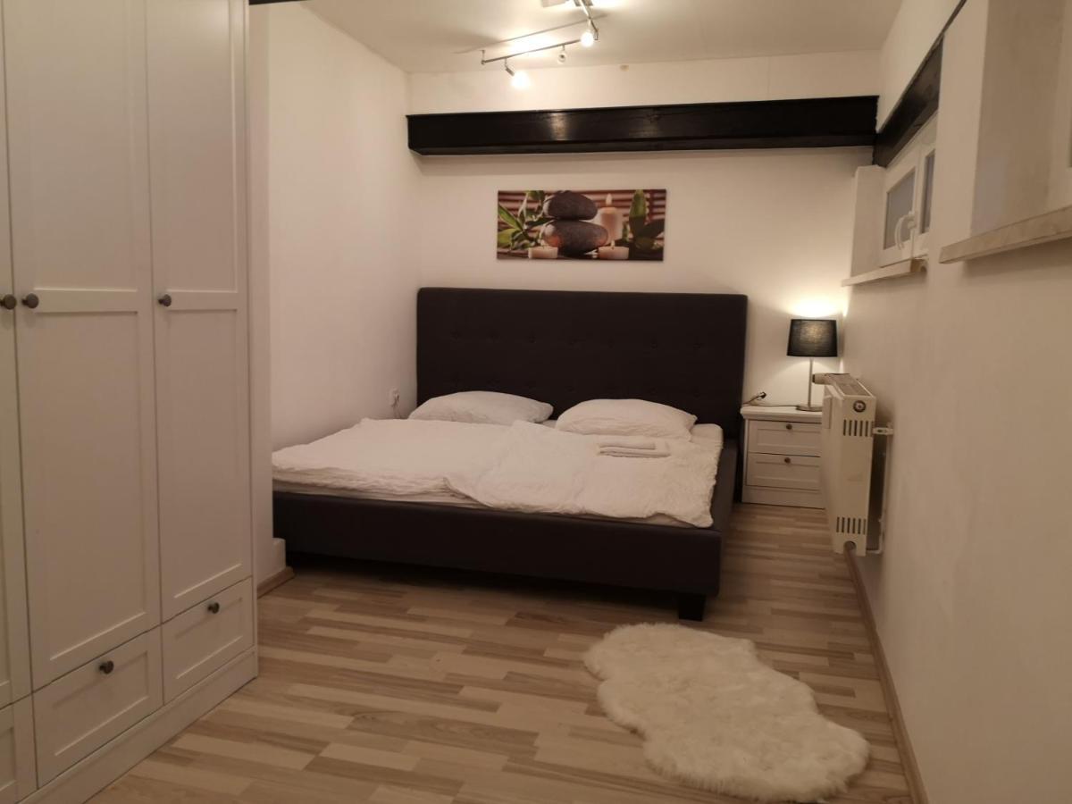 Apartment Direkt An Der Waldnaab Neustadt an der Waldnaab Zewnętrze zdjęcie