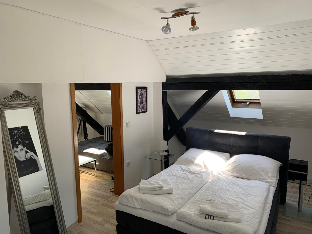 Apartment Direkt An Der Waldnaab Neustadt an der Waldnaab Zewnętrze zdjęcie