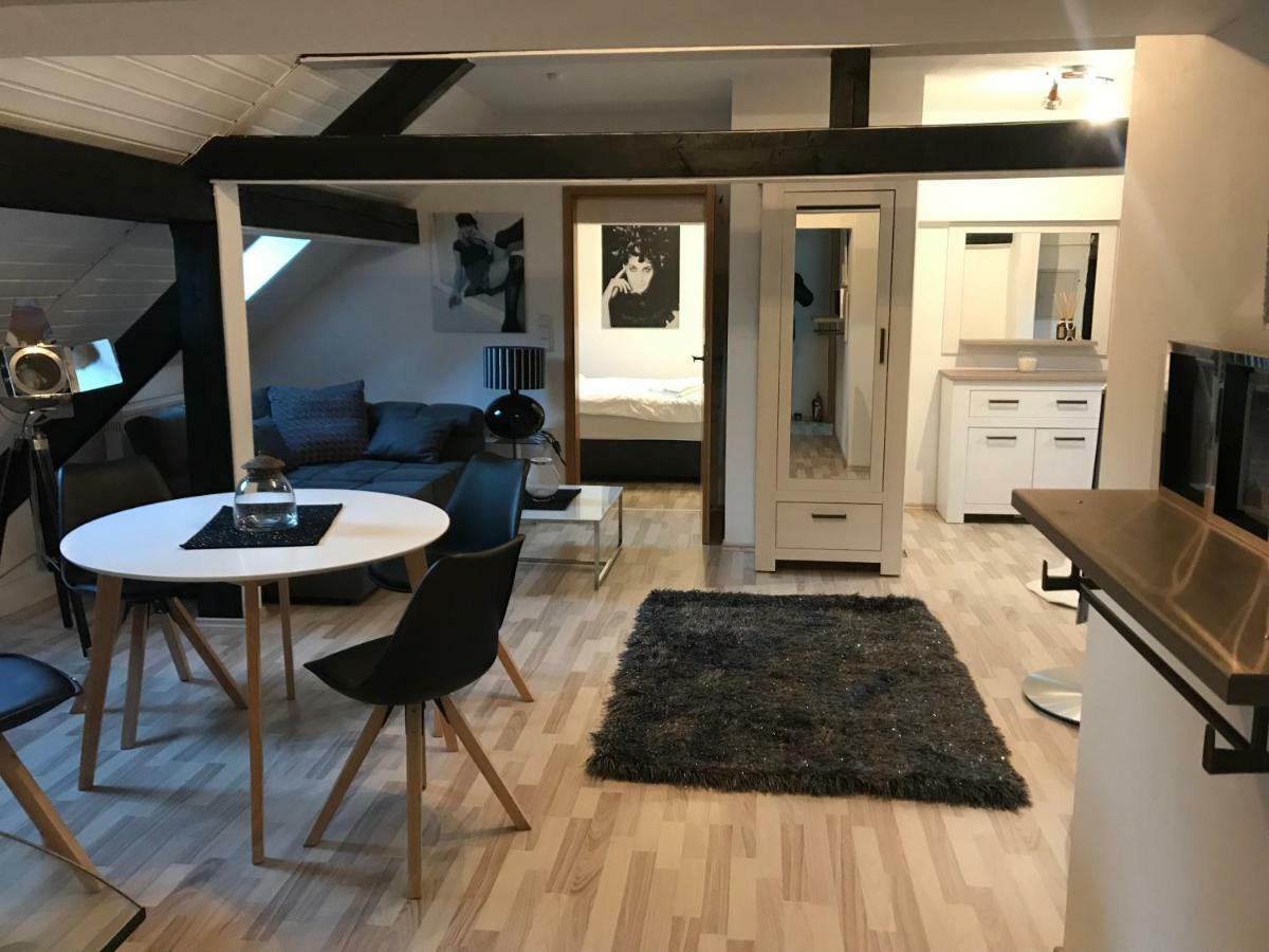 Apartment Direkt An Der Waldnaab Neustadt an der Waldnaab Zewnętrze zdjęcie