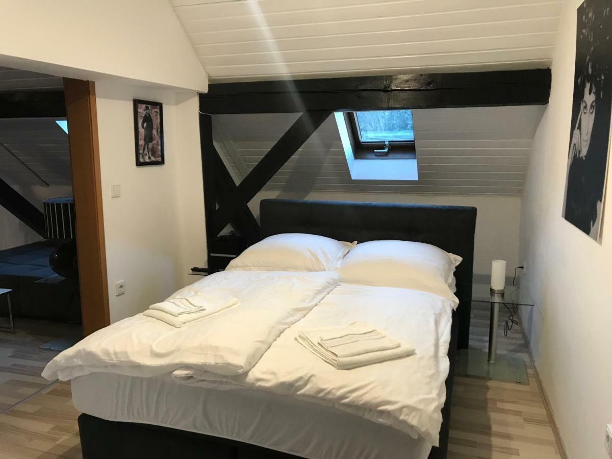 Apartment Direkt An Der Waldnaab Neustadt an der Waldnaab Zewnętrze zdjęcie